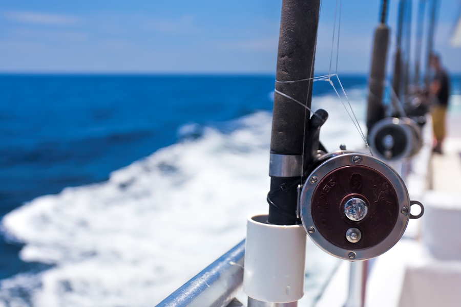 charter fishing orange beach