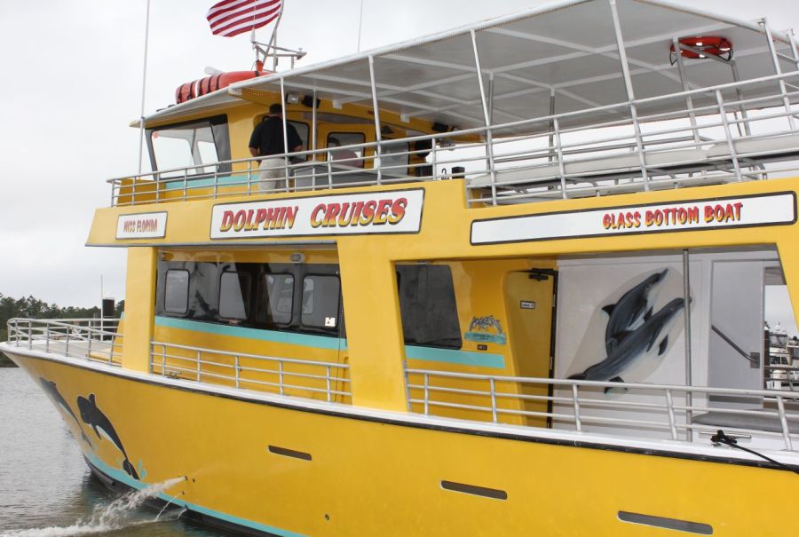 orange beach dolphin cruise